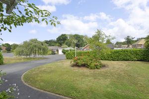 Photo 1- click for photo gallery